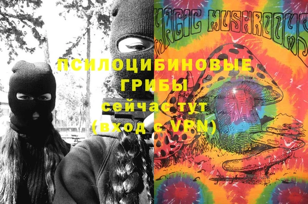 гашиш Богородицк