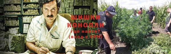 mdma Богданович