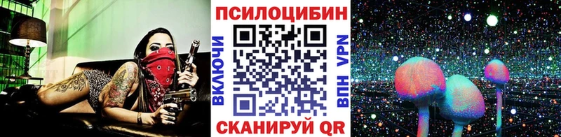 Псилоцибиновые грибы Cubensis  что такое   Златоуст 